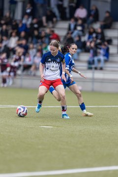 Bild 175 - wBJ Hamburger SV - FC Suederelbe : Ergebnis: 9:0